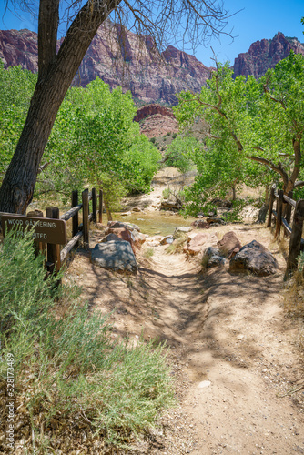 the watchman from parus trail in zion national park  usa