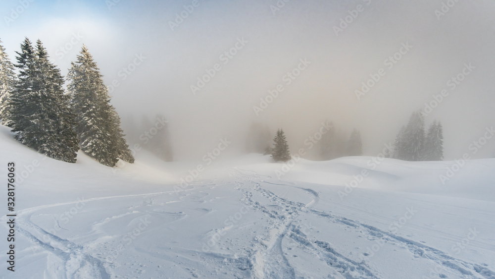 Snowshoe tour on the Hochgrat in the Allgau