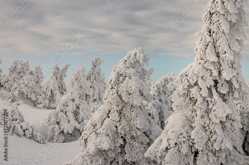 Wallpaper Mural Winterlandschaft im Harz Torontodigital.ca