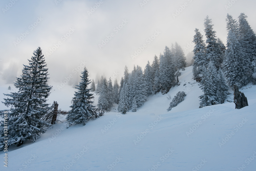 Snowshoe tour on the Hochgrat in the Allgau