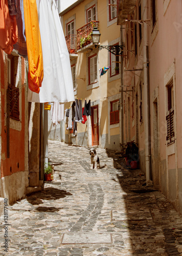 Typical street of the old Lisbon with cobblestones and clothes hanging on the balconies. Dog resting in the middle of the street