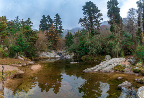 Panoramic view of a little lake down a valley, with a mountain full of trees on the back