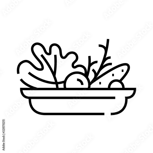 Vegetable salad line icon, concept sign, outline vector illustration, linear symbol.