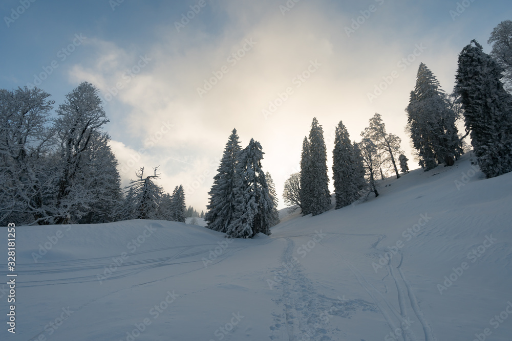 Fototapeta premium Snowshoe tour on the Hochgrat in the Allgau