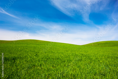 field of green grass and blue sky © knlml