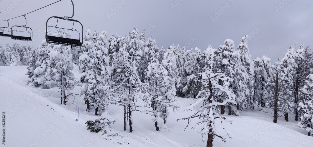 Obraz premium Ski