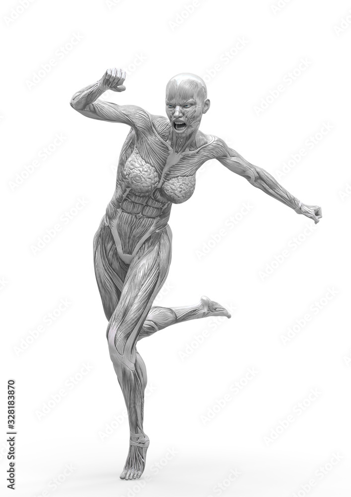 muscle woman running in white background rear view muscle woman running in white background rear view