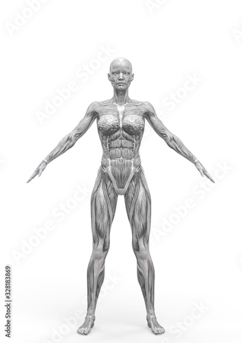 muscle woman standing up in white background © DM7