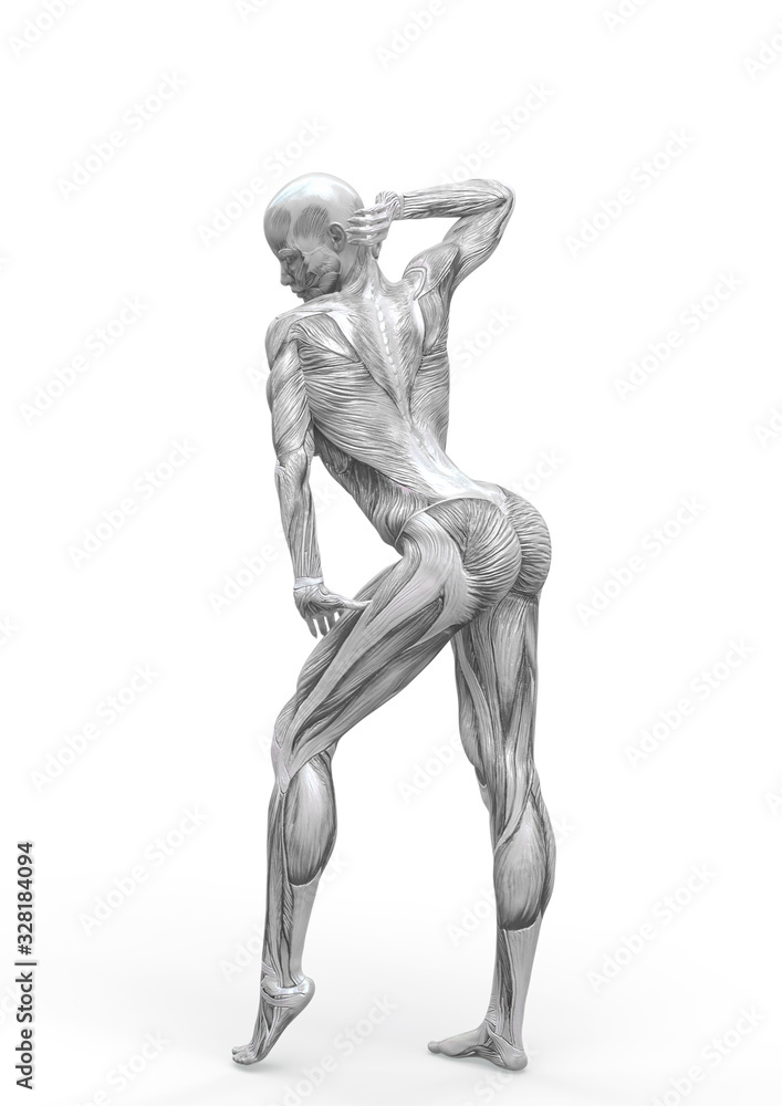 muscle woman doing a gymnastic pose in white background muscle woman doing a gymnastic pose in white background