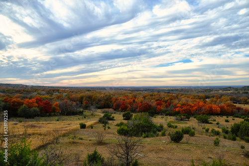 autumn landscape in rural Texas hills.