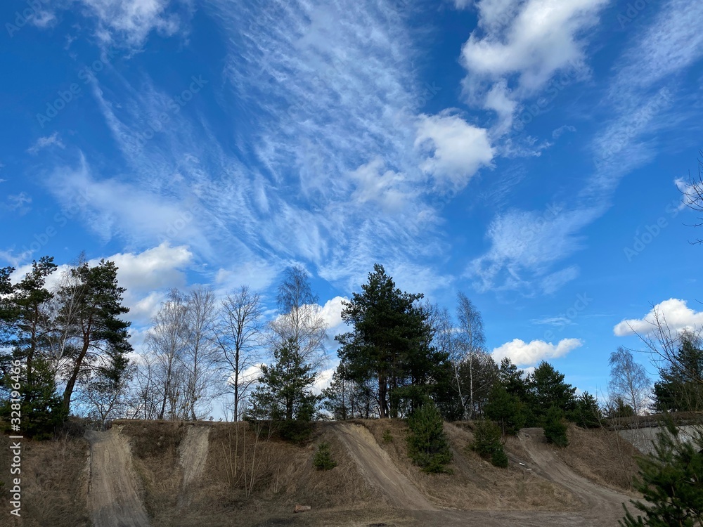 Obraz premium landscape with trees and blue sky