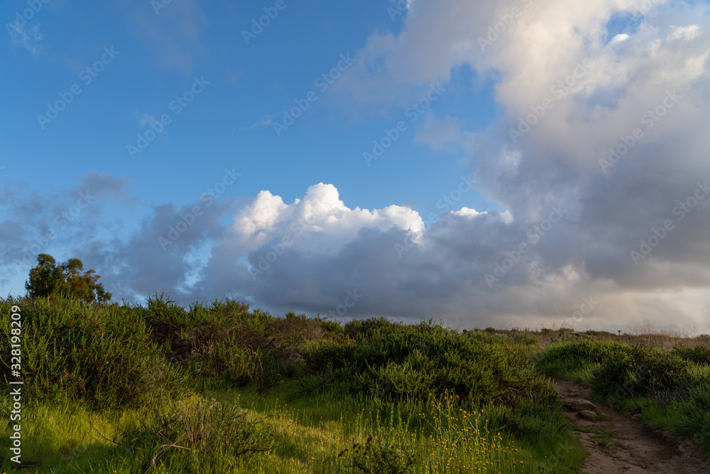 Obraz premium countryside landscape with blue sky and clouds
