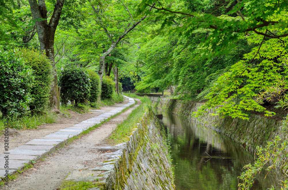 Obraz premium 京都の哲学の道