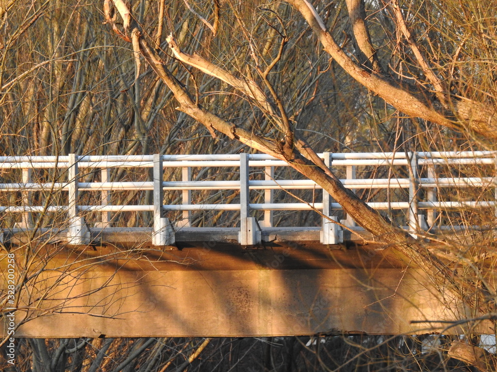 puente y arboles