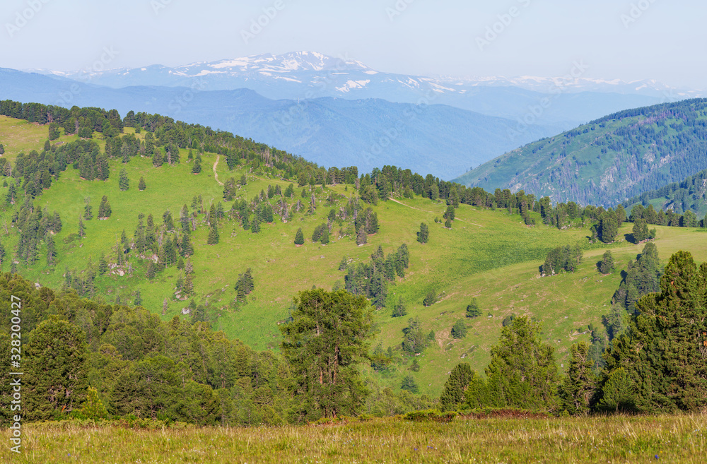 Mountain view. Summer landscape, green forests and meadows, snow-capped peaks.
