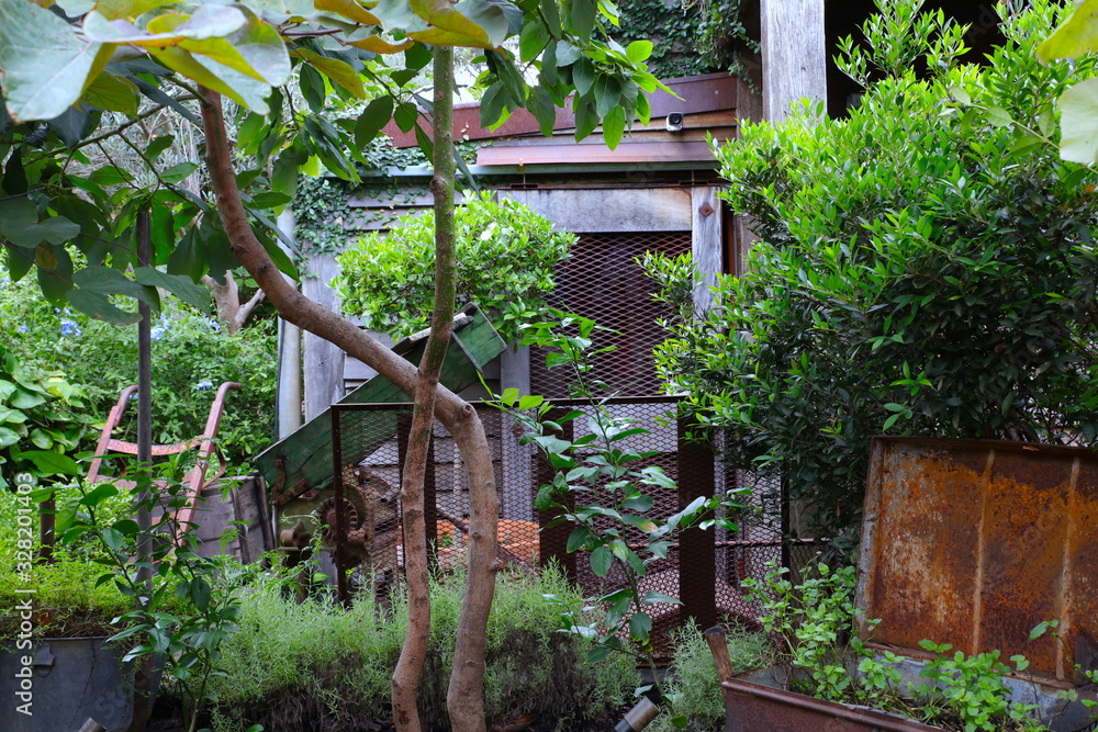 Beautiful and colourful garden in Sydney NSW Australia with nice green plants and great vibrant colours Beautiful and colourful garden in Sydney NSW Australia with nice green plants and great vibrant colours