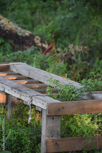 wood bench in garden field