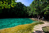 Emerald Pool-Krabi