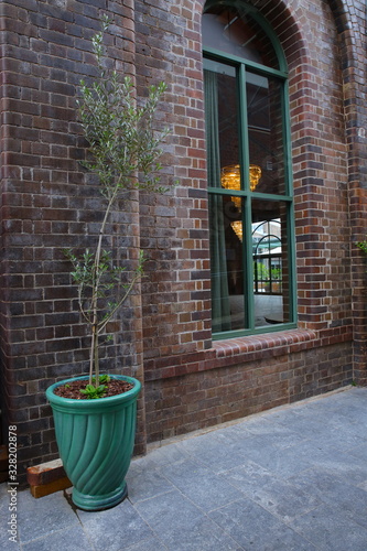 Old brick industrial building in Sydney NSW Australia restored with green plants decorating the facade © Elias Bitar
