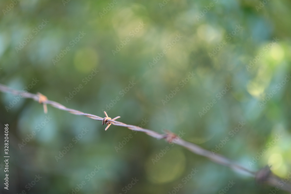Barbed wire and posts with blurred background