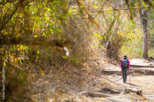 26 January 2020-Leoi::traveler trekking to Phu Kradueng Mountain