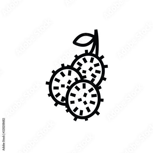 Rambutan thin icon