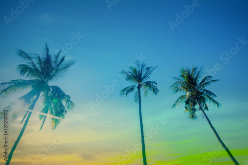 colorful sky with coconut trees  at  sunset  abstract ,spring,summer  nature wallpaper  background