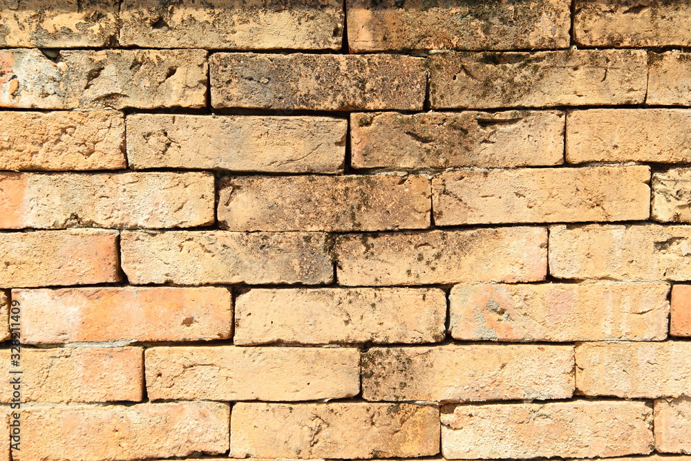 Fototapeta premium Background of brick old wall texture