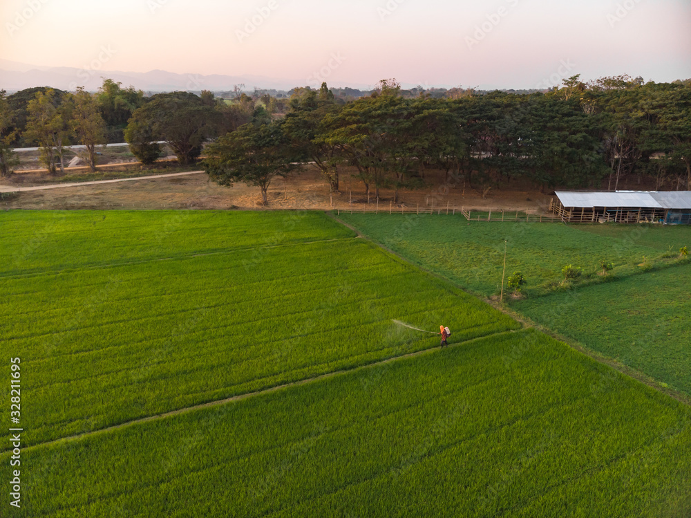 Farmer spraying fertilizer or insecticide Farmer spraying fertilizer or insecticide
