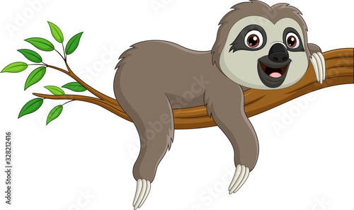 Cute baby sloth on tree branch