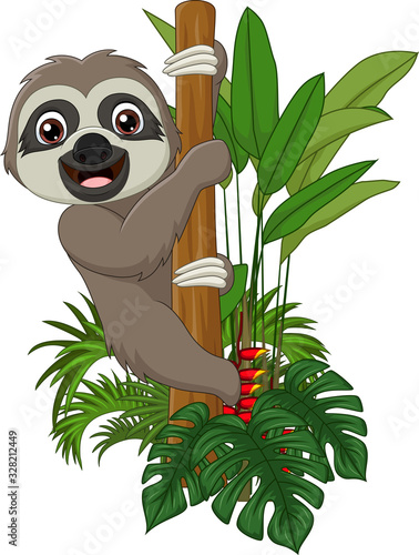Cute baby sloth climbing on tree branch