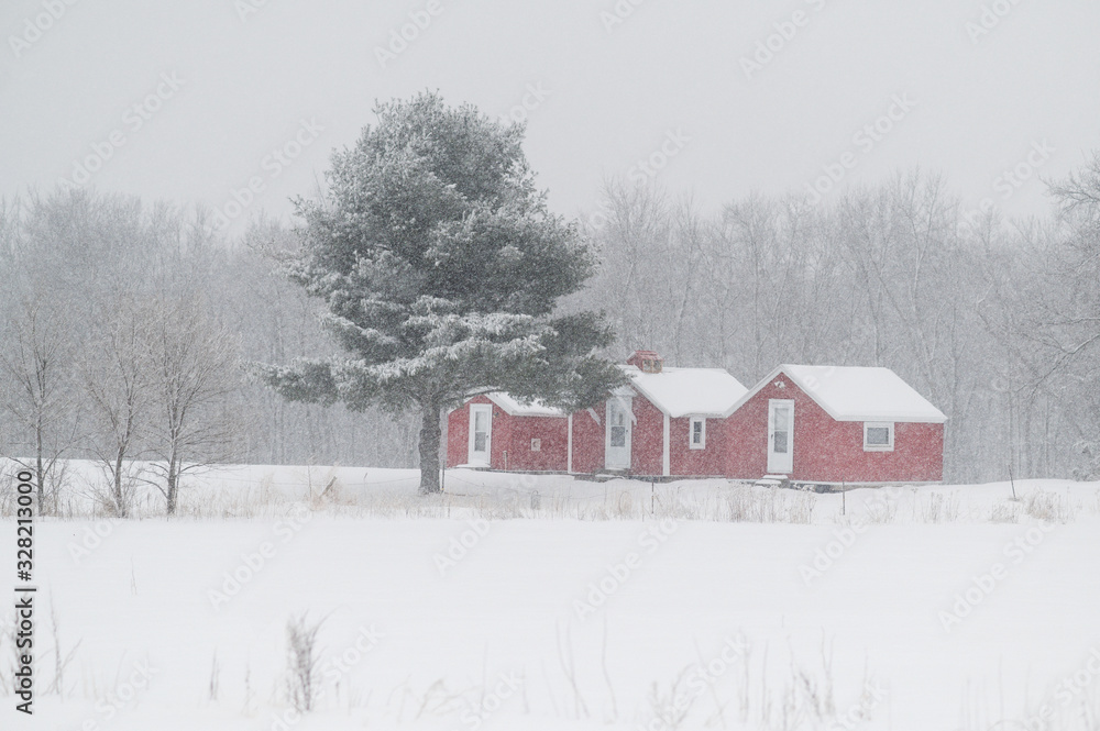 Red houses in snowstorm