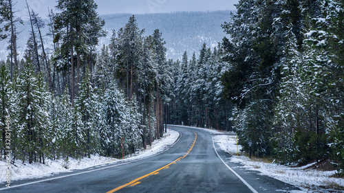 On the road of Yellowstone in winter season.