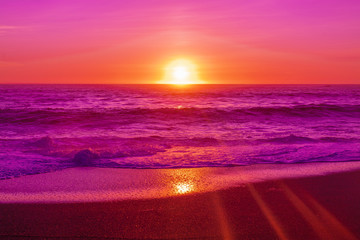 Leinwandbilder Rosa pink beach sunset  © Devin