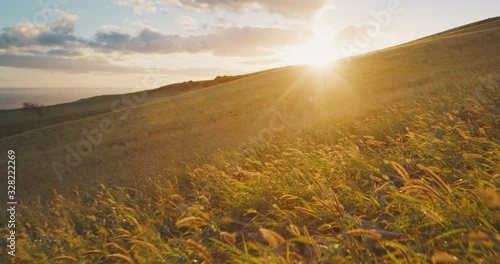 Cinematic dolly shot pushing in over golden fields towards the sunset, amazing cinematic landscapes