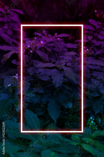 Tropical leaves with neon frame for background, foliage in blue and purple gradient