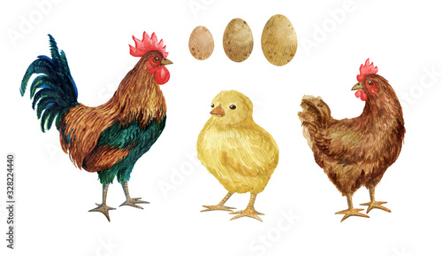Watercolor set with chicken, rooster, chick and eggs. Farm set isolated on white for decoration of natural products, covers, kitchen