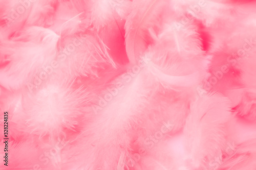 Beautiful abstract colorful white and pink feathers on white background and soft white feather texture on pink pattern  pink background banners  