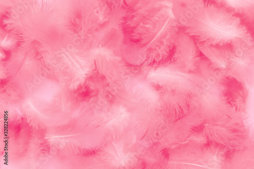 Beautiful abstract colorful white and pink feathers on white background and soft white feather texture on pink pattern, pink background banners 