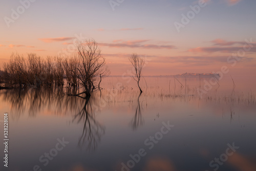 A symmetric photo of a lake, with trees reflections on water at sunset
