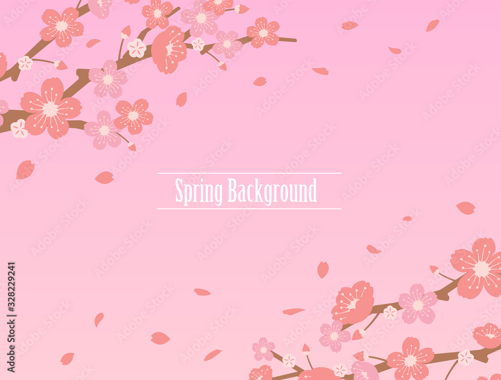 Cherry blossoms background illustration ( spring season theme )