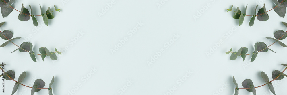 Frame made of eucalyptus branches on a blue pastel background. Banner with place for text. Frame made of eucalyptus branches on a blue pastel background. Banner with place for text.