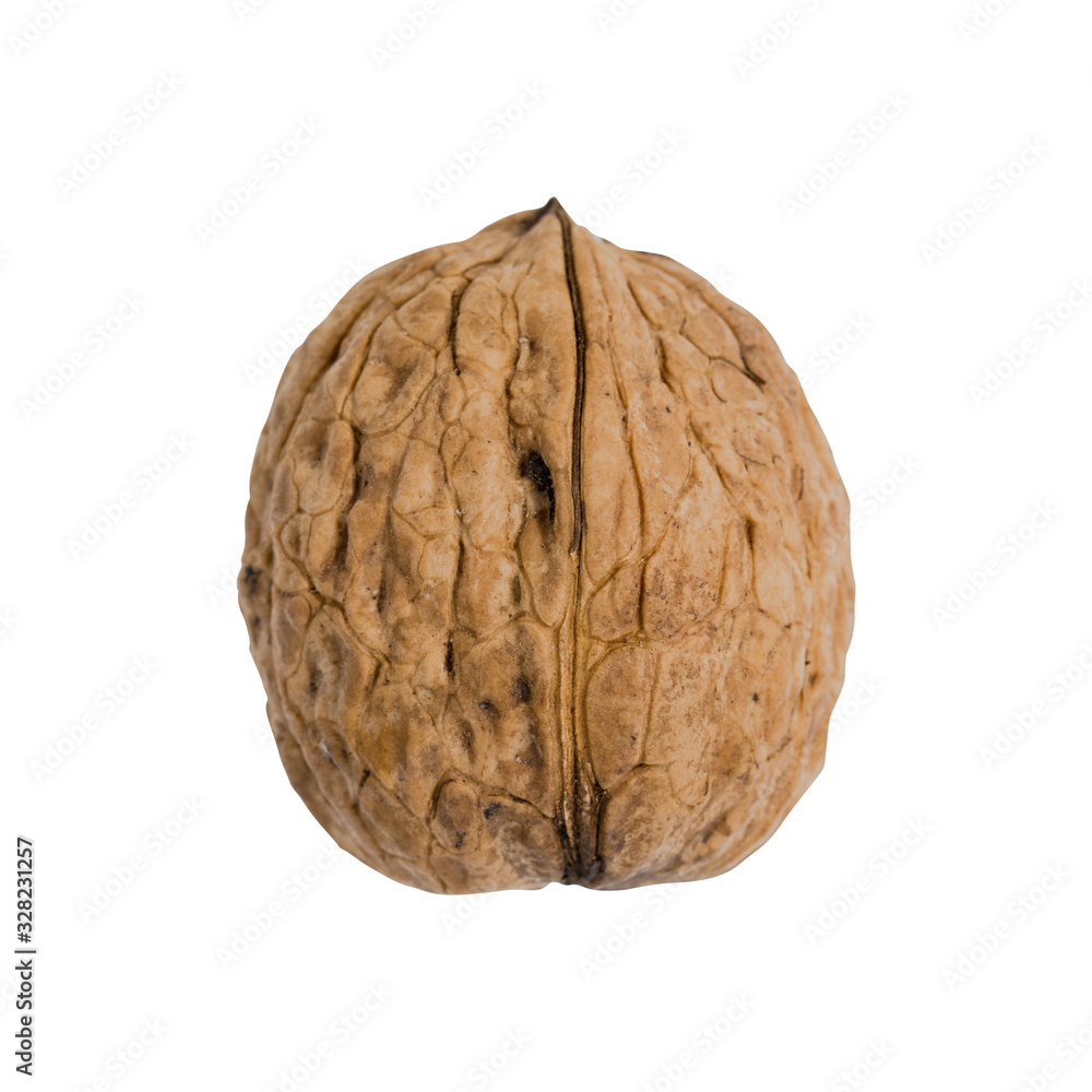 Single walnut isolated on a white background. Single walnut isolated on a white background.