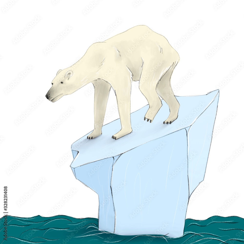Skinny Polar Bear Trying To Survive On A Broken And Melting Ice Stock skinny-polar-bear-trying-to-survive-on-a-broken-and-melting-ice-stock
