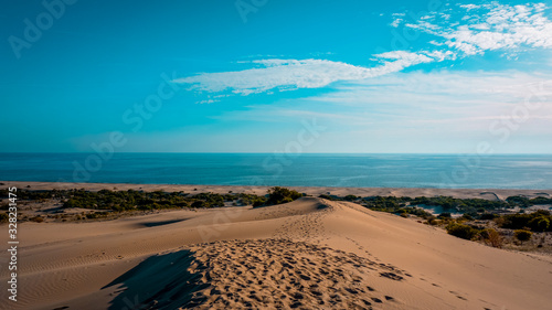 Fototapeta Naklejka Na Ścianę i Meble -  patara
