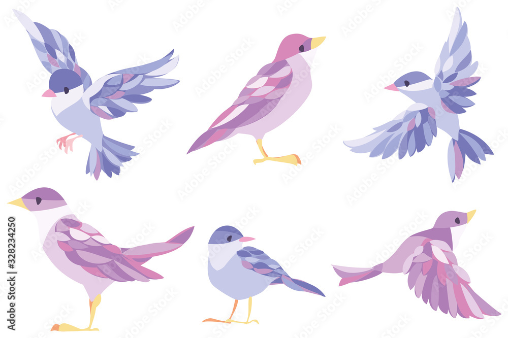 Fototapeta premium 小鳥