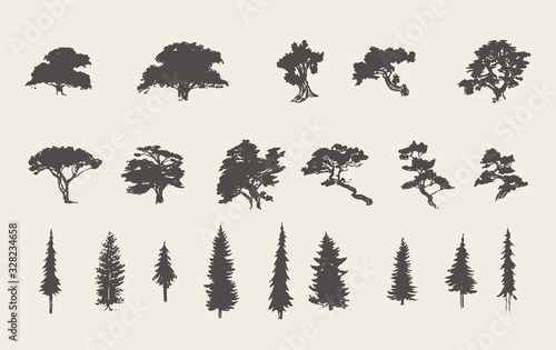 Set silhouettes trees pine fir cedar vector sketch