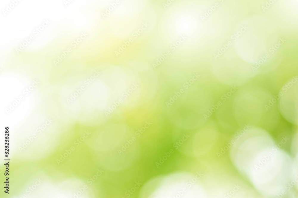 Abstract bokeh green background from the leaves Abstract bokeh green background from the leaves