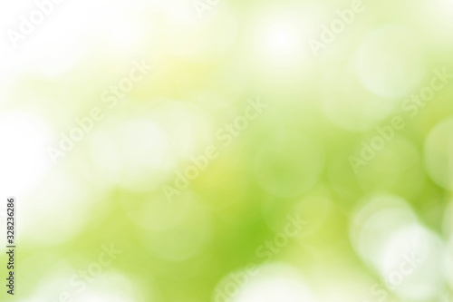 Abstract bokeh green background from the leaves