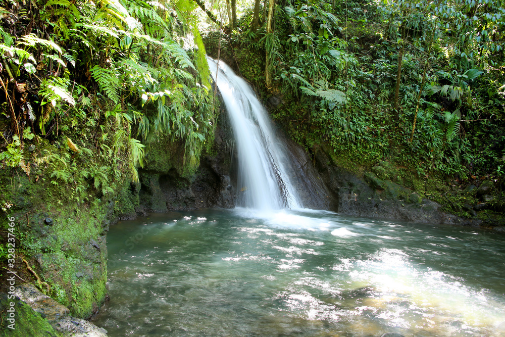 Obraz premium Crayfish Waterfall or La Cascade aux Ecrevisses, Guadeloupe National Park, Guadeloupe, French West Indies.